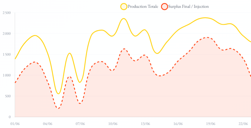 Graphique détaillé journalier de la courbe de charge pour producteur (Production Totale Jaune, Injection Rouge, Espace Blanc Partagé)